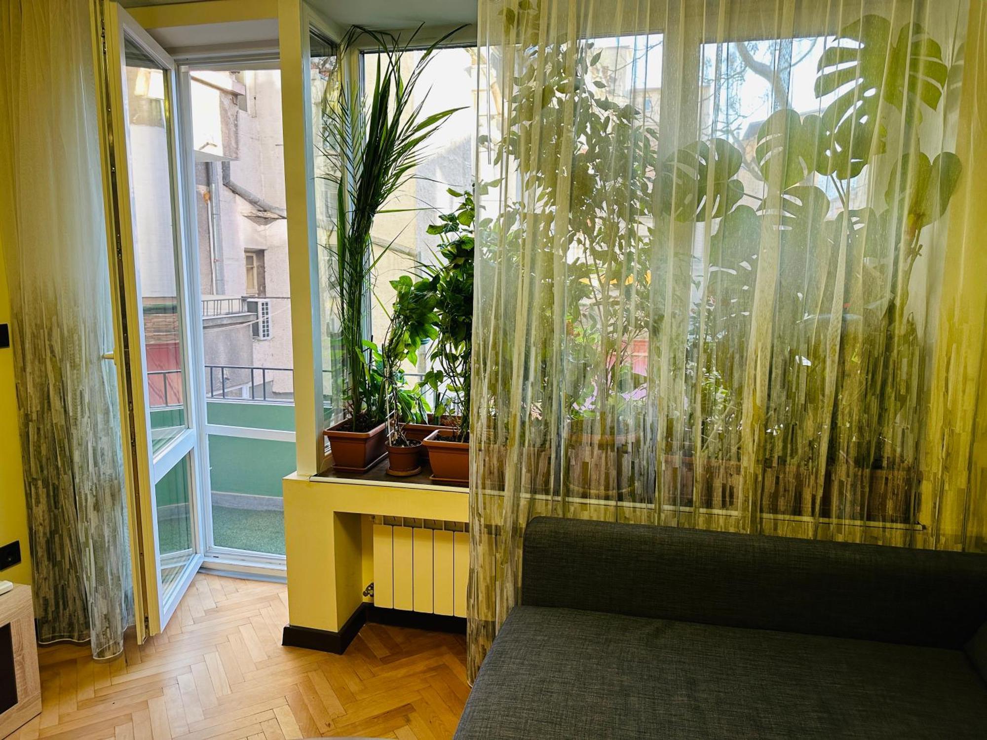 Luxury Oasis In Absolute Center Of Sofia Lejlighed Eksteriør billede